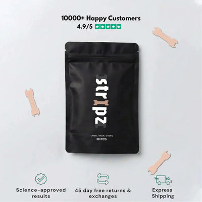 STRIPZ™ Nasal Strips